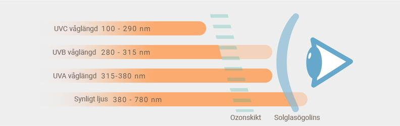 UVA-, UVB- ja UVC-kiirgus silmale
