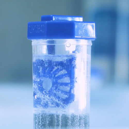 Läätsed mullitavas peroksiidilahuses