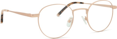 Centrostyle F 0539 48 043 000 48 (клипсы)