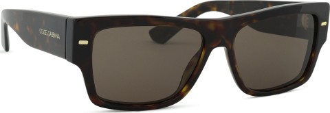Dolce & Gabbana 0DG 4451 502/73 55