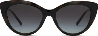 Emporio Armani EA 4213U 50171W 53 (клипсы) 36744