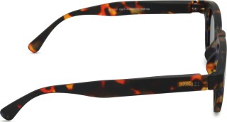 Izipizi Sun Junior #C Tortoise (vanusele 7 - 11 aastat)