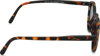 Izipizi Sun Junior #D Tortoise (vanusele 7 - 11 aastat)