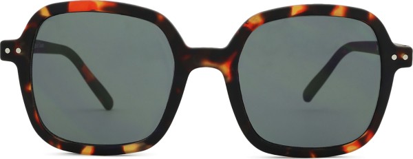 Izipizi Sun #Office Tortoise