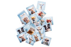 Lentiamo Memory (boonus)