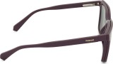 Polaroid PLD D556/C 0T7 17 54 (clip-on) 49059