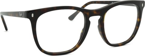 Ray-Ban 0RX2210V 2012