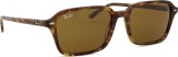 Ray-Ban Raimond RB2231 141833