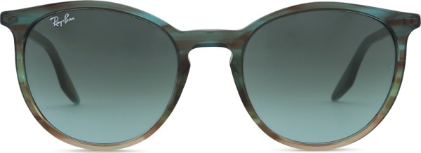Ray-Ban RB2204 1394GK