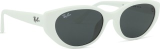 Ray-Ban RB4457D 677287 55