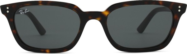Ray-Ban Zaya RB4456 135987 53