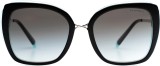 Tiffany & Co. TF4160 82853C 54 7630